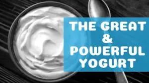 The Great & Powerful Yogurt