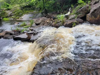 Avalanche of Abundance