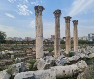 Dealing with 4 pillars of anxity