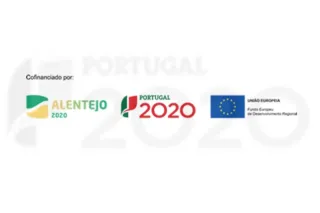 Projecto de internacionalização