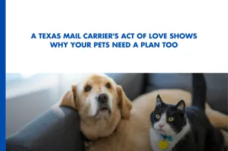 A Texas Mail Carrier's Act of Love Shows Why Your Pets Need a Plan Too