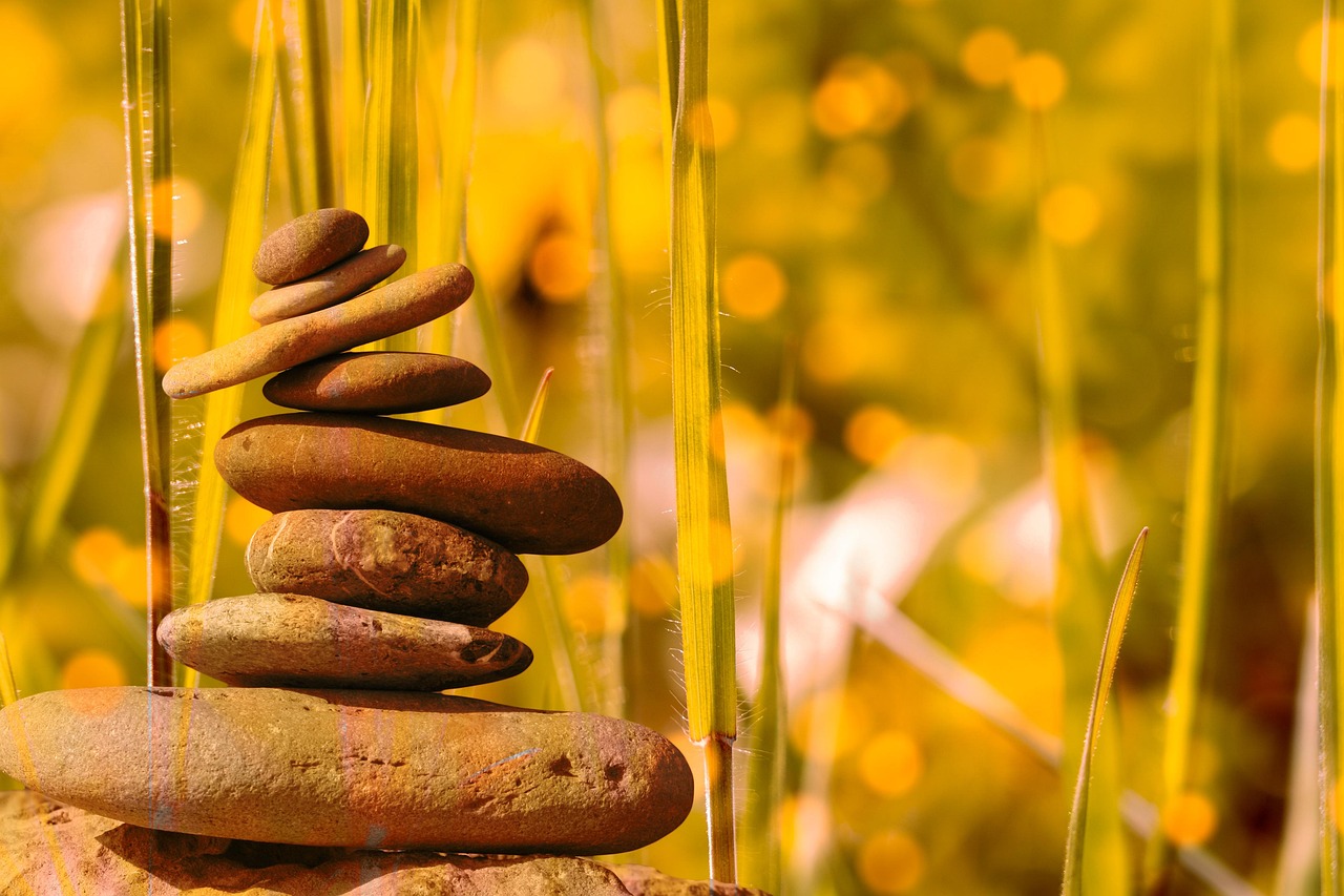 Why Nervous System "Hacks" Aren’t Enough (And What Real Wellness Actually Looks Like)