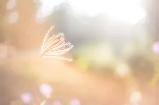 How to Start Your Day Softly (Even If You're Not a Morning Person Anymore)