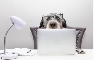 5 Daily Habits to Boost Your Productivity