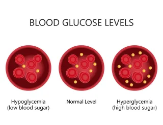 Understanding the Signs of Diabetes: What to Do if You Suspect You Have Diabetes