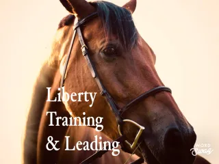 Liberty Training & Leading