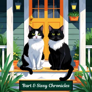 How Two Abandoned Cats Chose a New Porch—and a New Life