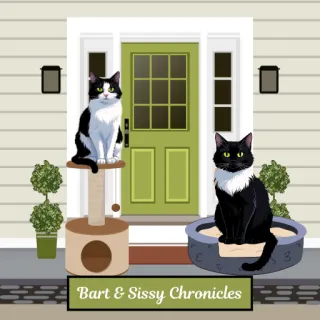 Lessons in Letting Go: A Cat, a String, and Financial Freedom