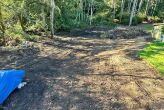 Expert Land Clearing Services near Mason County, Washington | Comprehensive Guide