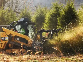 Best Forestry Mulching Near Tacoma | 5 Questions to Ask Before Hiring
