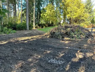 How to Choose the Best Land Clearing Service for Your Property Near Kitsap County