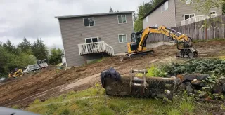 Comprehensive Guide to Land Clearing near Thurston County, Washington