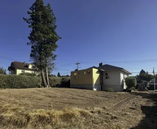 The Hidden Costs of Lot Clearing Near Kitsap County, WA 