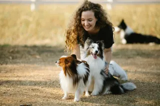 Welcome Back to Chaos & Fur – Let’s Make Your Pet’s Life Paw-some!