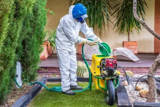 Comprehensive Guide to Pest Control in Midlothian, TX