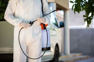 Comprehensive Guide to Termite Inspection Services in Midlothian
