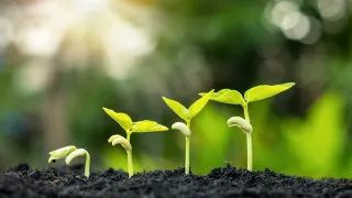 Stewardship vs. Ownership: Why Purposeful Wealth Builds Lasting Legacies