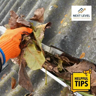 10 Must Have Cleaning & Maintenance Tips Every Essex Homeowner Needs