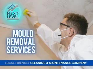 Mould Removal in Essex: What Awaab’s Law Means for Landlords and How to Stay Compliant