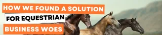 How We Found THE Solution For Equestrian Business Woes 🐴