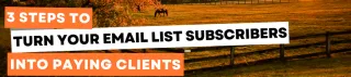 3 Steps To Turn Your Email List Subscribers Into Paying Clients
