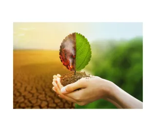 What Is Thrive Through Change