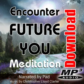 Encounter and Learn From Your Future Self