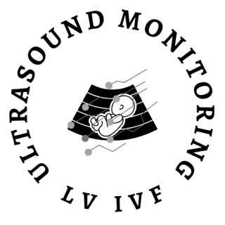 IVF Monitoring: Tracking Follicle Growth with Ultrasound