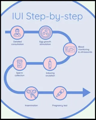 Before IVF: The History and Basics of IUI Treatment
New Blog Post