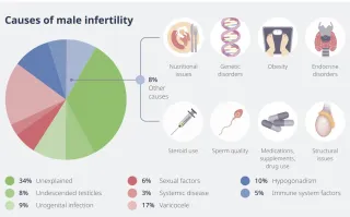 ⚠️ Male Infertility: Common Conditions That Affect Sperm — And What Can Be Done
