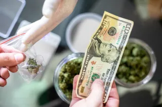Elevate Your Cannabis Business: The Benefits of Producing Prerolls