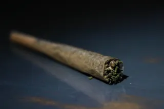 Five Pitfalls to Avoid When Launching a Cannabis Preroll Brand