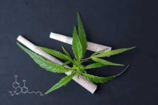 Puff, Puff, Profit: Exploring the CBD Joint Trend Taking Over