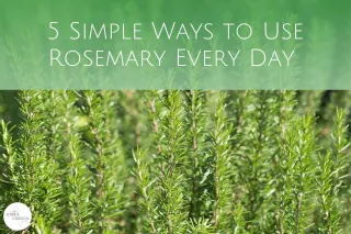 5 Simple Ways to Use Rosemary Every Day