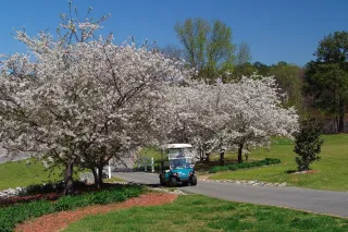 Life On The Path in Peachtree City
