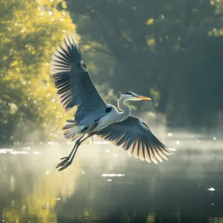 Wildlife Wonders: Protecting Our Natural Inhabitants