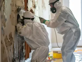 Prevent Mold in Your Home | Mold Experts of Atlanta LLC