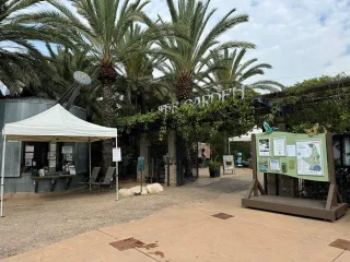 🌸 Grow Green, Live Clean: A Walk Through El Cajon’s Eco Garden 🌞


