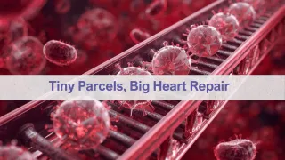 Heart Month Spotlight: Can Exosome Therapy Rejuvenate Your Cardiovascular Health?