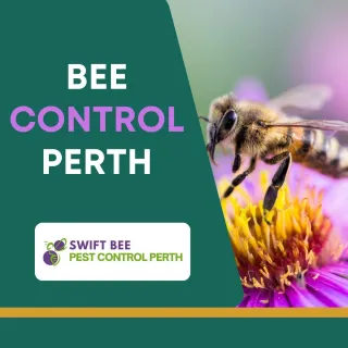 Bee Control Blog Post