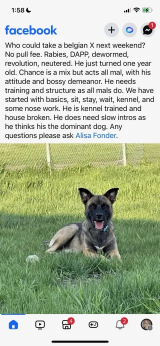 Meet Chance the marketing intern!