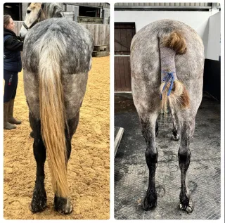 From Dangerous to Pony Club - A Water Treadmill Case Study
