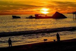 🌊 Coastal Sips & Redwood Trips: A Day in Aptos You’ll Never Forget ☕