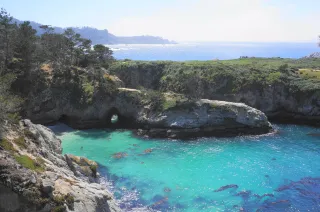 🌊Where Ocean Meets Wild: A Coastal Escape to Point Lobos State Natural Reserve