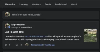 FAQ image