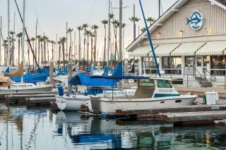 🌊 Seafood, Sunshine & Stunning Views — Dive Into Bluewater Grill at King Harbor