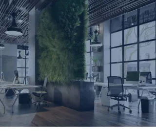 Cultivating Corporate Vitality: The Verde Vitae Approach to Holistic Wellness