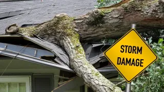 Emergency Roof Repair: What to Do When Disaster Strikes