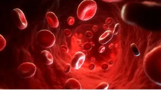 Why Targeting Healthy Blood Flow Is An Effective Way To Reverse High Blood Pressure
