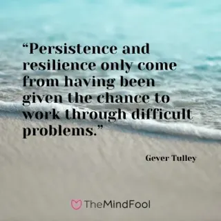 Resilience & Perseverance